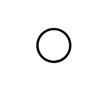 Ring Retaining 6K8162