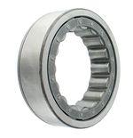 Pista-4S9780