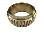 Gear-Worm-1067130