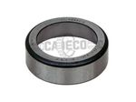 Cup-6D1734