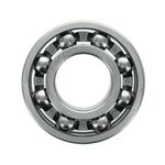 Bearing-Ball-1T0210
