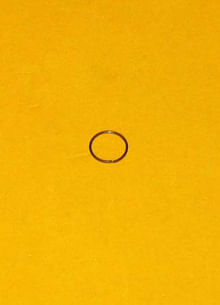 Ring Retainer 7N8821