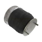 Bolsa-de-Aire-Firestone-S-FS9781