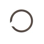 Ring Retaining 8K6000