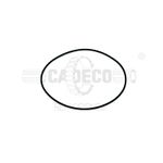 Seal O Ring 2139248