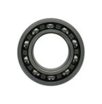 Bearing-Ball-1T0043