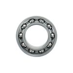 Bearing-Ball-1T0043