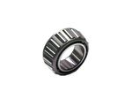 Cone-bearing-1B3953