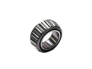 Cone-bearing-1B3953