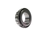 Cone-bearing-1B3953