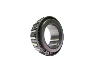 Cone-bearing-1B3953