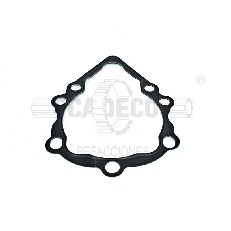 Gasket H436704