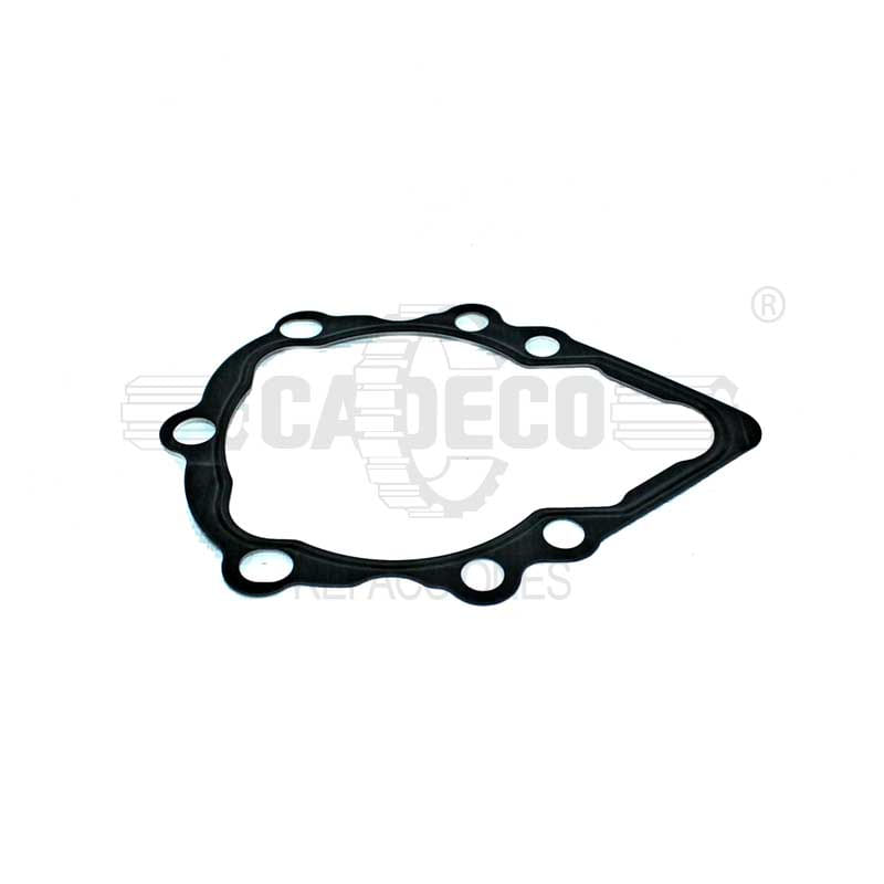 Gasket H436704