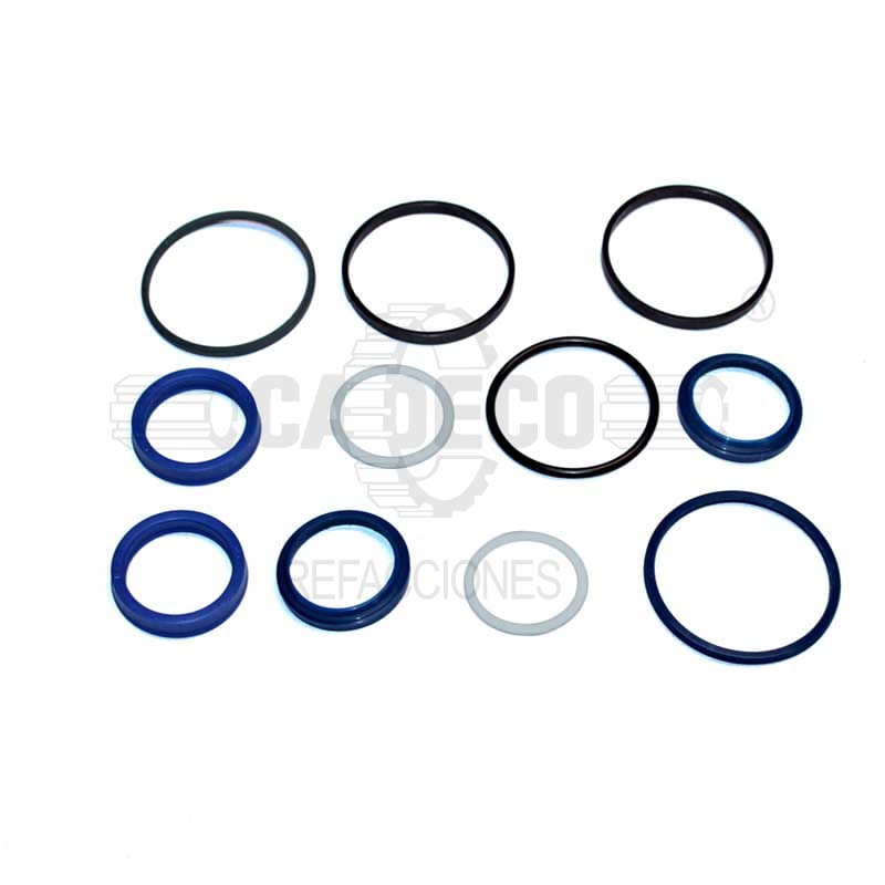 Oil Seal CA0049210