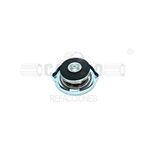 Cap As Relief 3Y2511