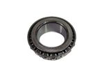 Cone-bearing-1B3980