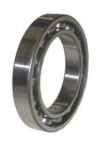 Bearing Ball 1S0579