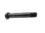 Bolt-Cap-0676883