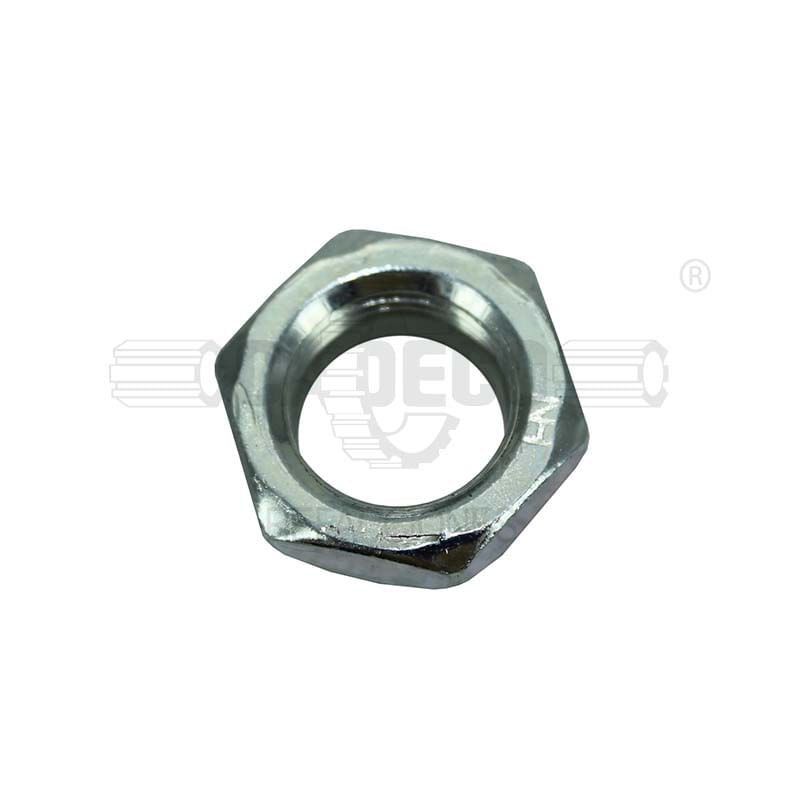 Nut-131-37