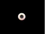 Nut-Hex-Flange-1417221