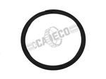 Ring Retaining 1M8652