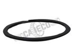 Ring Retaining 1M8652