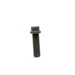 Bolt 12 Pt Hd 1T0448