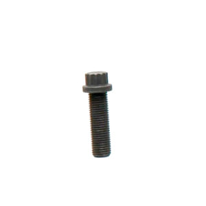 Bolt 12 Pt Hd 1T0448