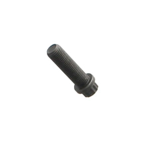 Bolt 12 Pt Hd 1T0448