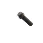 Bolt 12 Pt Hd 1T0448