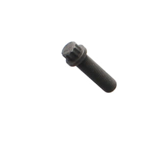 Bolt 12 Pt Hd 1T0448