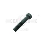 Bolt-20Y-30-11341