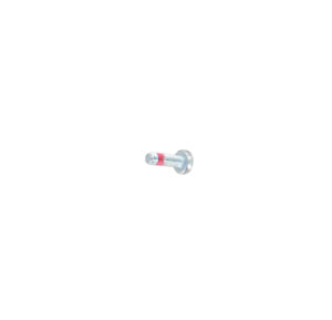 Screw Torx 2160029