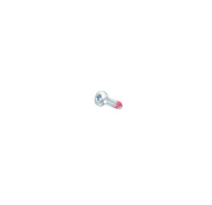 Screw Torx 2160029