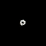 Tuerca 2B3172