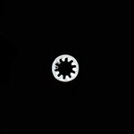 Lockwasher 3F9556