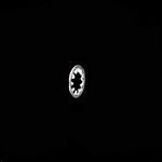 Lockwasher 3F9556