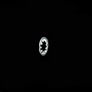 Lockwasher 3F9556