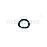 Washer Spring 6N2956