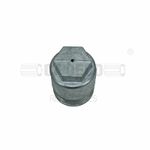 Cap-CASG33080