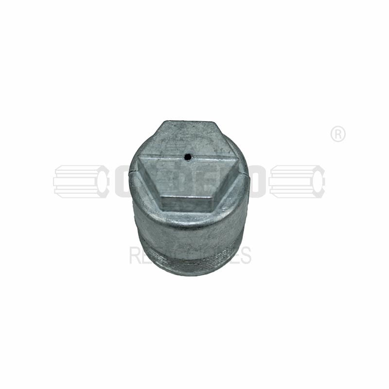Cap-CASG33080