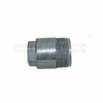 Cap-CASG33080