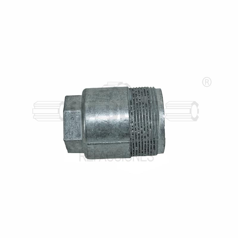 Cap-CASG33080