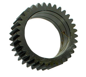 Piñon-0546549