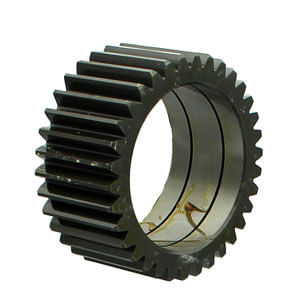 Piñon-0546549