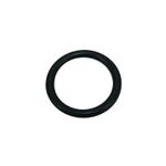 O-Ring 154503A1