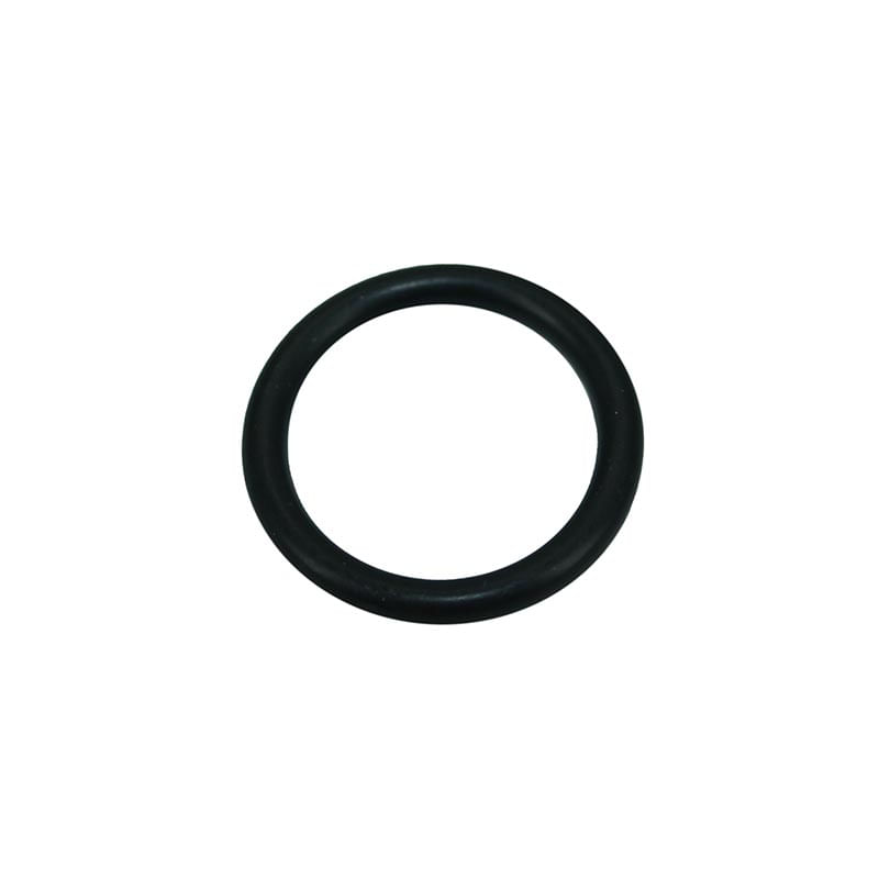 O-Ring 154503A1