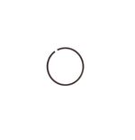 Ring-Lock-181111A1