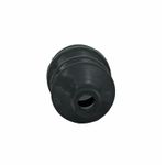Cap-1967581C1