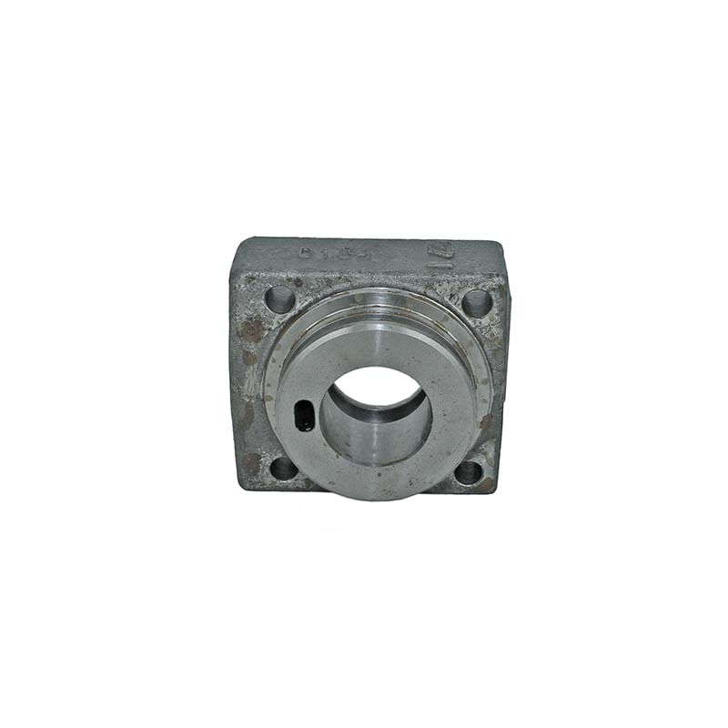 Cap Cylind 1986520C1